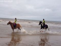 Photo - Annabelle and Amber enjoying the canter in the sea