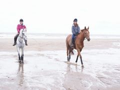 Photo - Grange riding club training weekend img 2