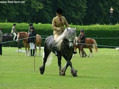 Photo - Ludworth viking silver at Long Sutton.