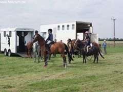 Photo - South Wold Hunt South Pony Club Aug 09