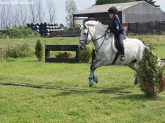 Photo - South Wold Hunt South Pony Club Aug 09