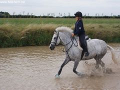 Photo - South Wold Hunt South Pony Club Aug 09