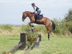 Photo - South Wold Hunt South Pony Club Aug 09