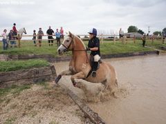 Photo - South Wold Hunt South Pony Club Aug 09