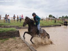 Photo - South Wold Hunt South Pony Club Aug 09