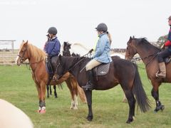 Photo - Riding Club training event with Amy McMahon