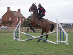 Photo - Riding Club training event with Amy McMahon