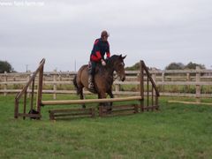 Photo - Riding Club training event with Amy McMahon