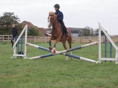 Photo - Riding Club training event with Amy McMahon