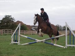 Photo - Riding Club training event with Amy McMahon