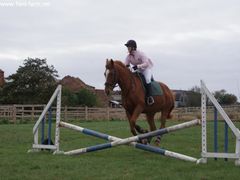 Photo - Riding Club training event with Amy McMahon