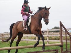 Photo - Riding Club training event with Amy McMahon