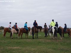 Photo - Riding Club training event with Amy McMahon