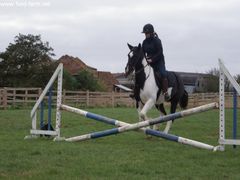 Photo - Riding Club training event with Amy McMahon