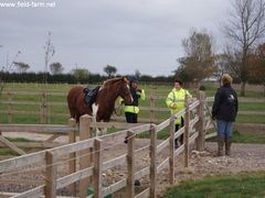 Photo - Riding Club training event with Amy McMahon