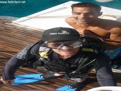 Photo - FIELD FARM GOES SCUBA DIVING IN EGYPT