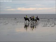 Photo - 4 On the Beach x