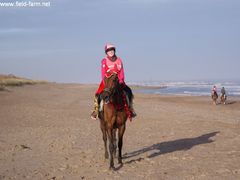 Photo - Christmas beach ride 7