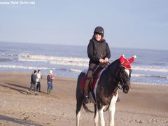 Photo - Christmas beach ride 8