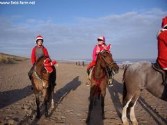 Photo - Christmas beach ride 9