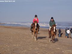 Photo - Christmas beach ride 12