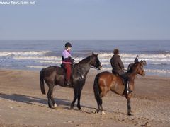 Photo - Christmas beach ride 14