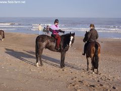 Photo - Christmas beach ride 15