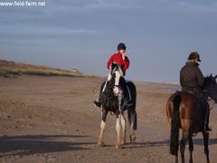 Photo - Christmas beach ride 17