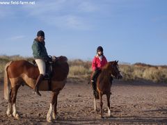 Photo - Christmas beach ride 18