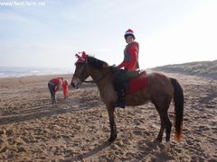 Photo - Christmas beach ride 29