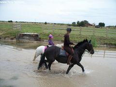 Photo - sally n mol through the water :)