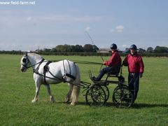 Photo - 1st Horse & Carriage to use the FF XC Course