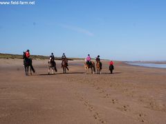 Photo - The beach on the 25th October... A Maze In... :-)