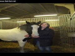 Photo - field farms stables:)