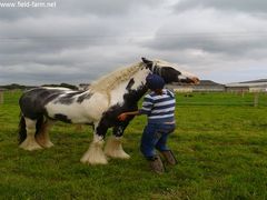 Photo - Betty - Boo enjoying a scratch