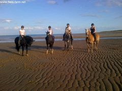 Photo - All of us on the beach :-) x miss it already x