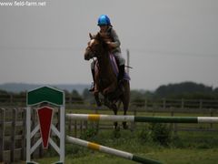 Photo - Higher and Higher Field Farm 2011