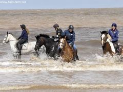 Photo - Having a paddle