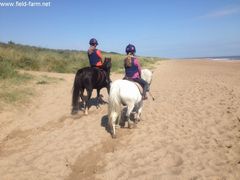 Photo - beach girls