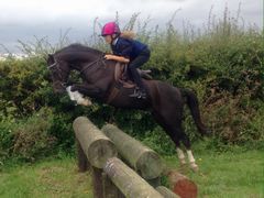 Photo - Harri jumps logs