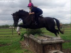 Photo - Having a go at the big boys XC jump