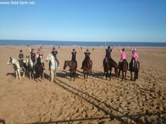 Photo - Beach ride