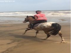 Photo - Enjoying the sand June 2017