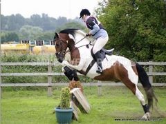 Photo - Olivia's first XC with Star